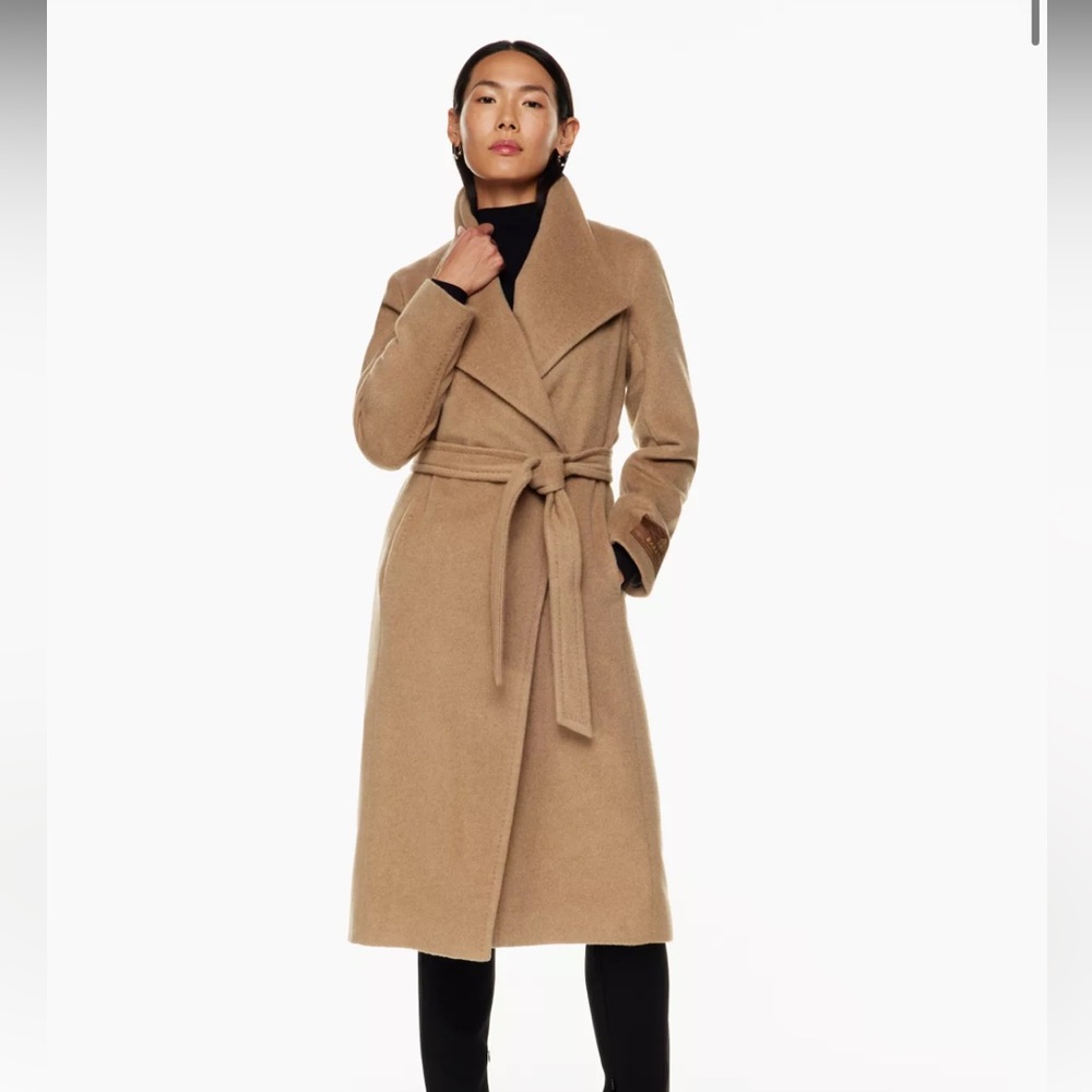 Aritzia Montage Coat